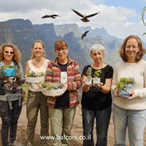 סדנאות קבוצתיות: חגיגה של גיבוש ויצירה