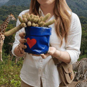 דמוי שק גדול