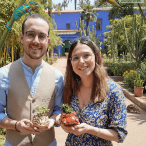 חיפושית פולקסווגן