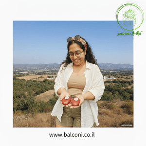 חלוק נחל לנר