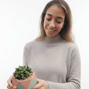 עציצים גאומטרים