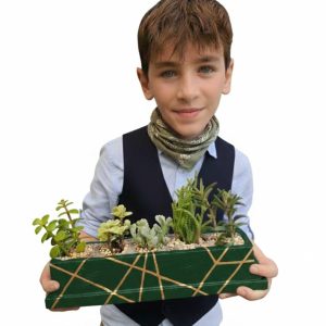 אדנית בטון מלבנית דגם "חמישיית הסוקולנטים" כולל תחתית תואמת