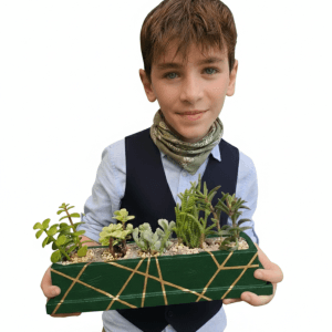 חמישיית סוקולנטים