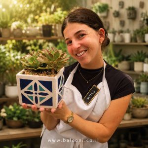 עציץ בטון מעוצב דגם "ריבוע גדול" כולל סוקולנטים – סדרת פרימיום מודרנית