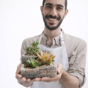 עציץ בטון פיסולי דגם "חומת סלעים" דו-מפלסי כולל סידור סוקולנטים עשיר