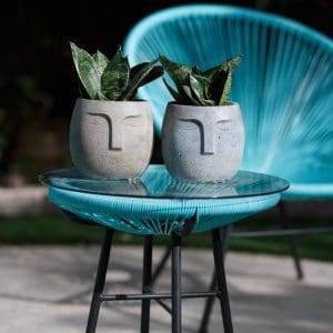 פנים גדולות