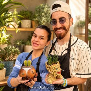 עציץ בטון פיסולי דגם "הדבר" (ארבעת המופלאים) כולל סוקולנט