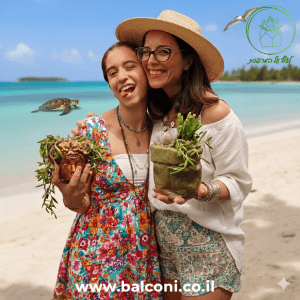 סדנת יצירה בבטון וצמחים עמידים