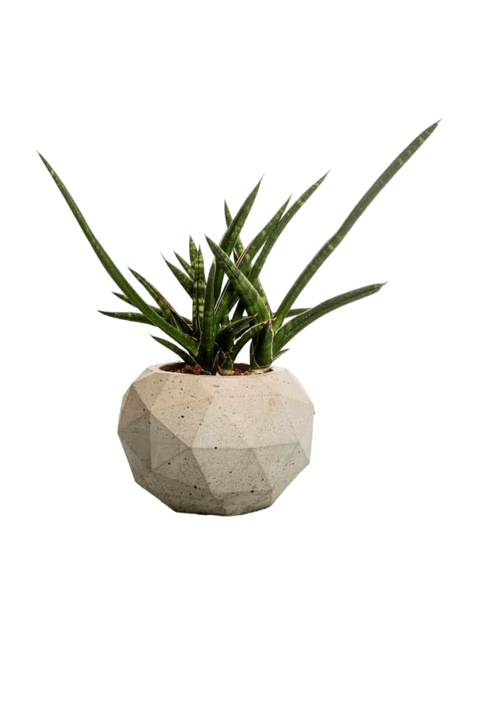 סדנאות הורה וילד: יוצרים זיכרונות משותפים