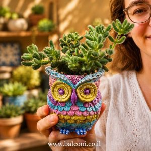 עציץ בטון מעוצב דגם "ינשוף חכם" כולל סוקולנט – מחלקת בעלי חיים