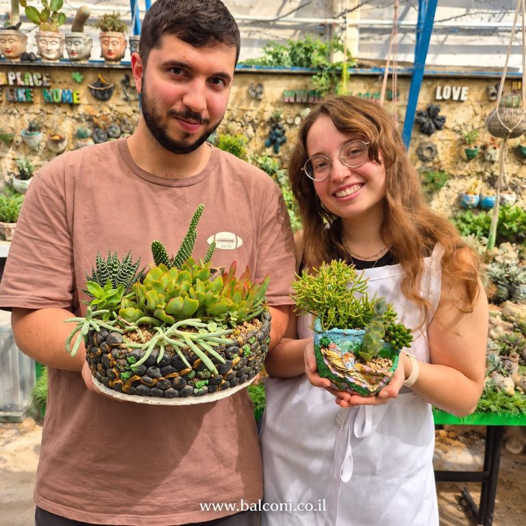 זוג מחזיק קערות בטון מלאות סוקולנטים שיצרו בסדנה