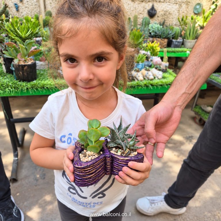 ילדה קטנה מחזיקה עציץ בטון סגול עם שני סוקולנטים
