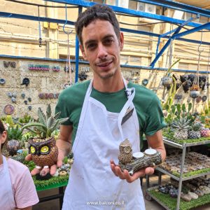 משתתף מחזיק עציץ ינשוף ומעמד נרות מבטון בצורת ענף עם ינשוף