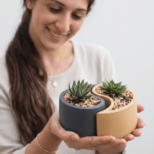 דף בית 19 1771854124062